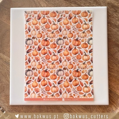 Papel tranfer - Abóboras II