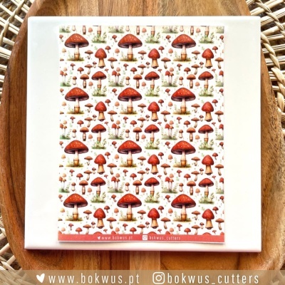 Papel tranfer - Cogumelos