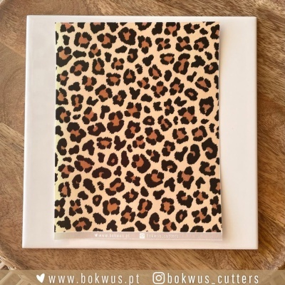 Papel tranfer - Leopardo II