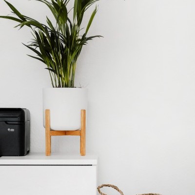 Planta em vaso branco com suporte de madeira sobre móvel branco, caixa preta e cesta trançada no chão