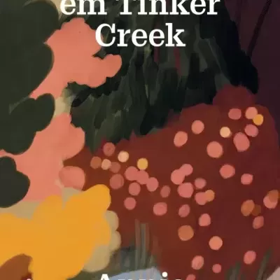 Peregrinação em Tinker Creek