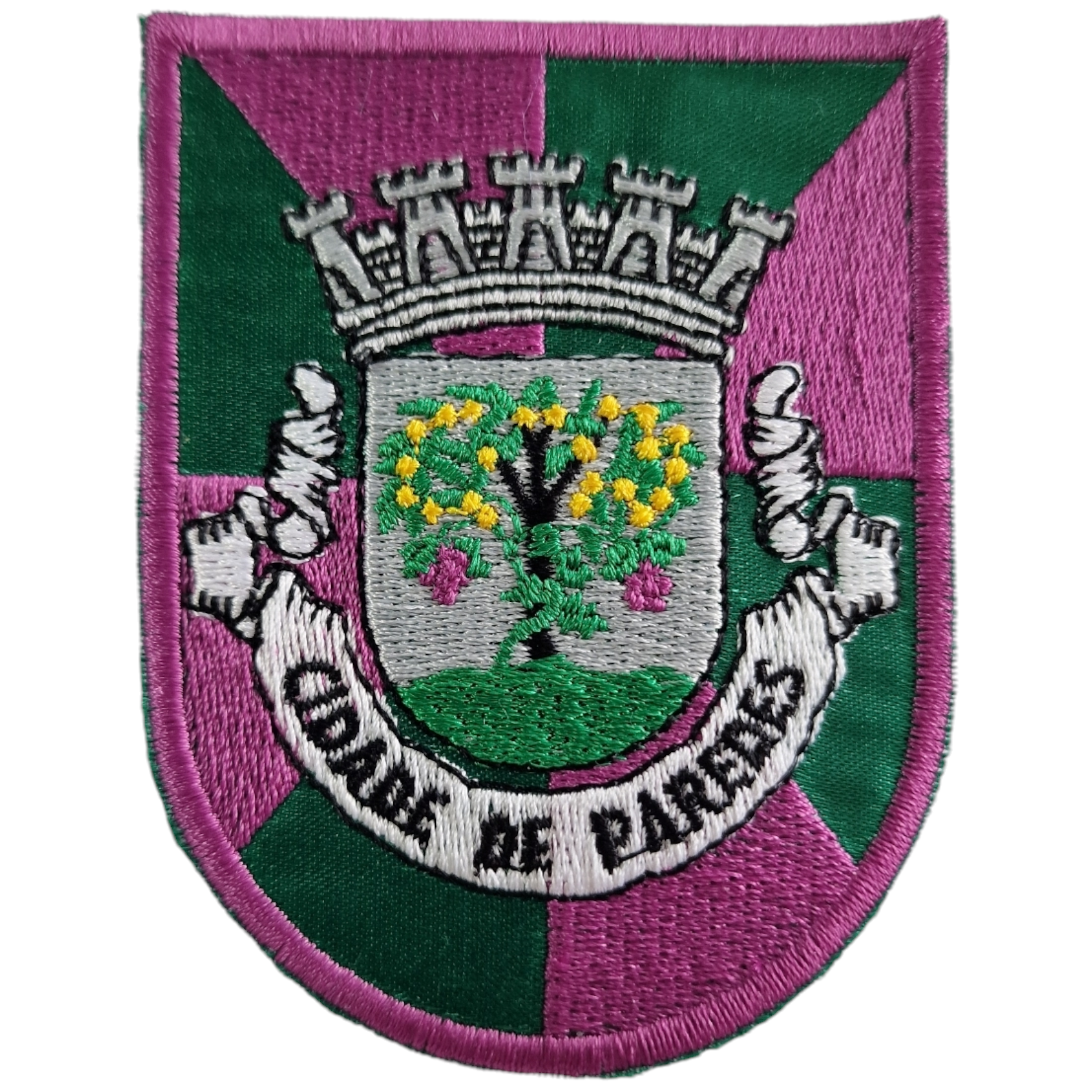 Emblema Brasão PAREDES