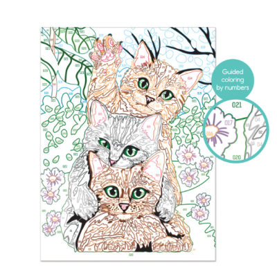 Pintar com números Gatos Brincalhões Tela 40x50 cm