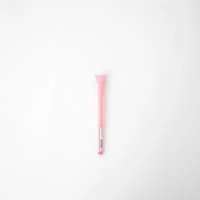 Caneta apagável Porco Mr.Wonderful