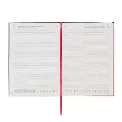 Agenda Diária Grande 2026 Cherry Bomb