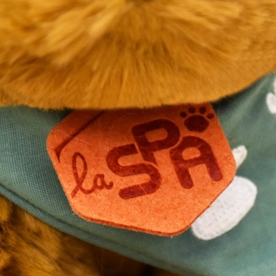 Cachorro de Peluche Bege 16 cm - Coleção SPA