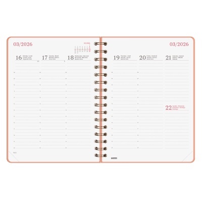 Agenda 2026 Semanal 12 meses Coral