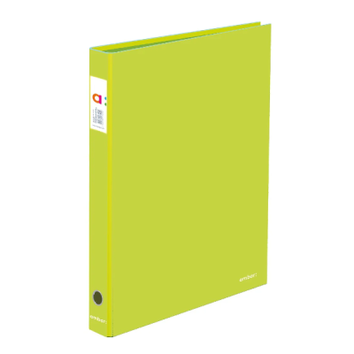 Pasta Arquivo Ambar School Lombada Estreita