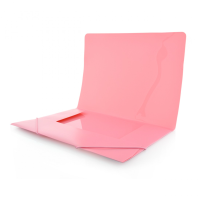 PASTA C/ ELASTICOSMAXI + BLUSH PASTEL