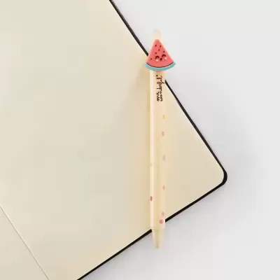 Caneta apagável Melância Mr.Wonderful