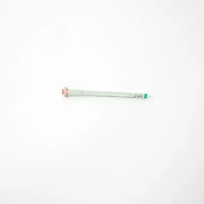 Caneta apagável Pêssego Mr.Wonderful