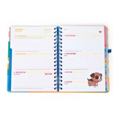 Agenda Wonder 2026 Semanal - Planos random