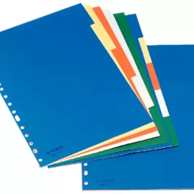 SEPARADOR ESSELTE A4