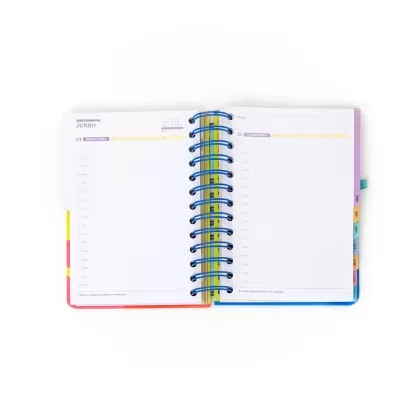 Agenda Wonder Pequena 2026 Diária - Quando uma porta