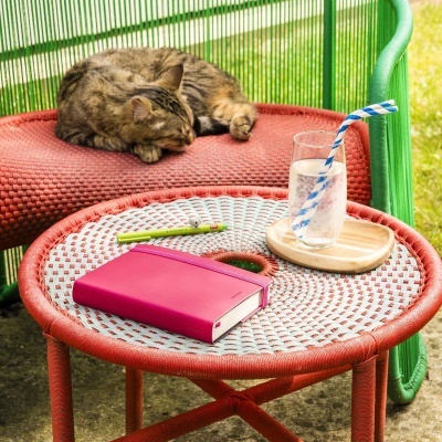 Agenda Diária Média 2026 Pastel Mint