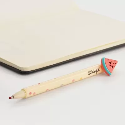 Caneta apagável Melância Mr.Wonderful