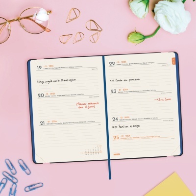 Agenda Semanal 2026 12 Meses Fiona