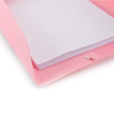 PASTA C/ ELASTICOSMAXI + BLUSH PASTEL