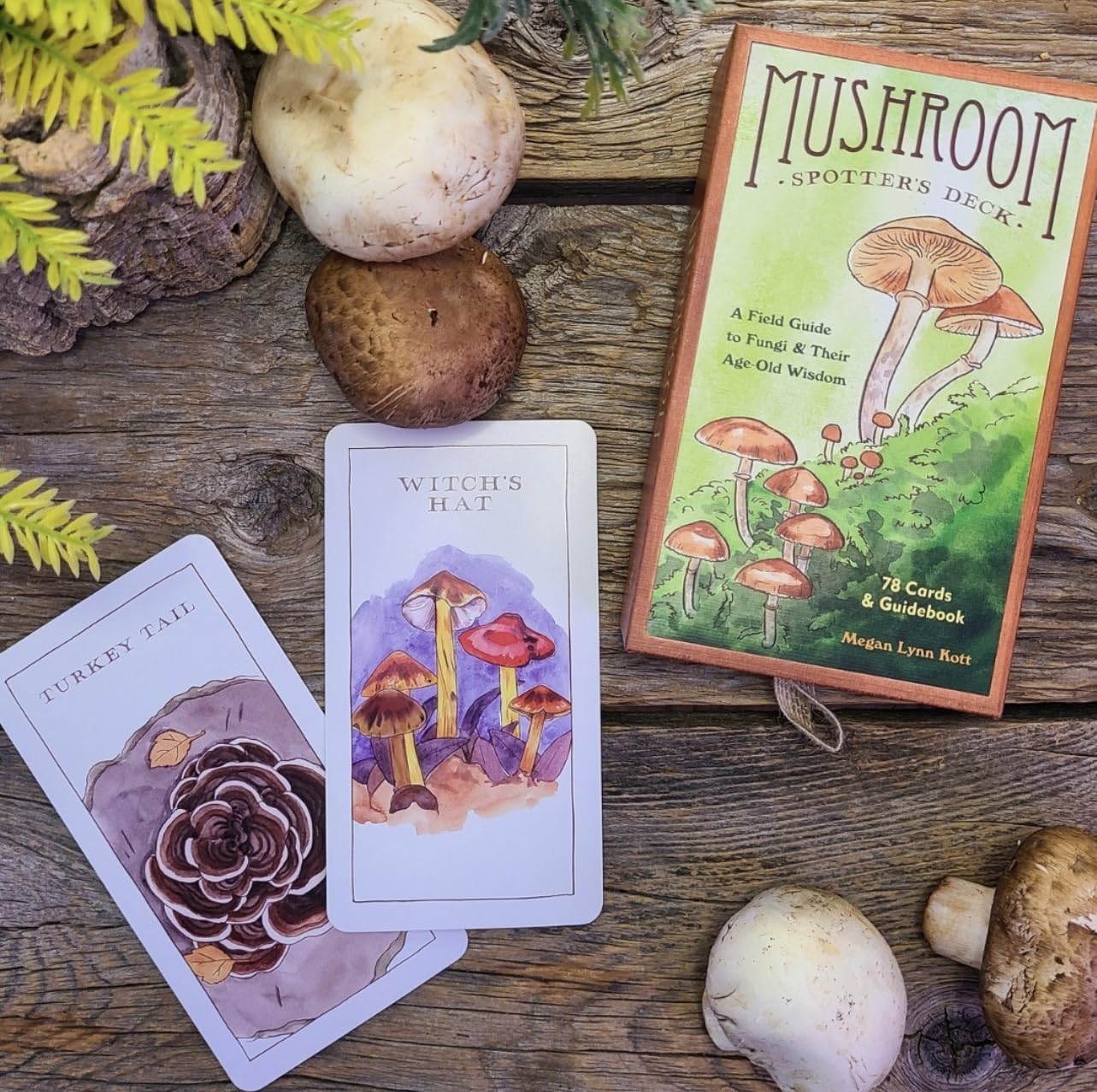Mushroom Spotter's Flash Cards Mushroom Spotter's Flash Cards
