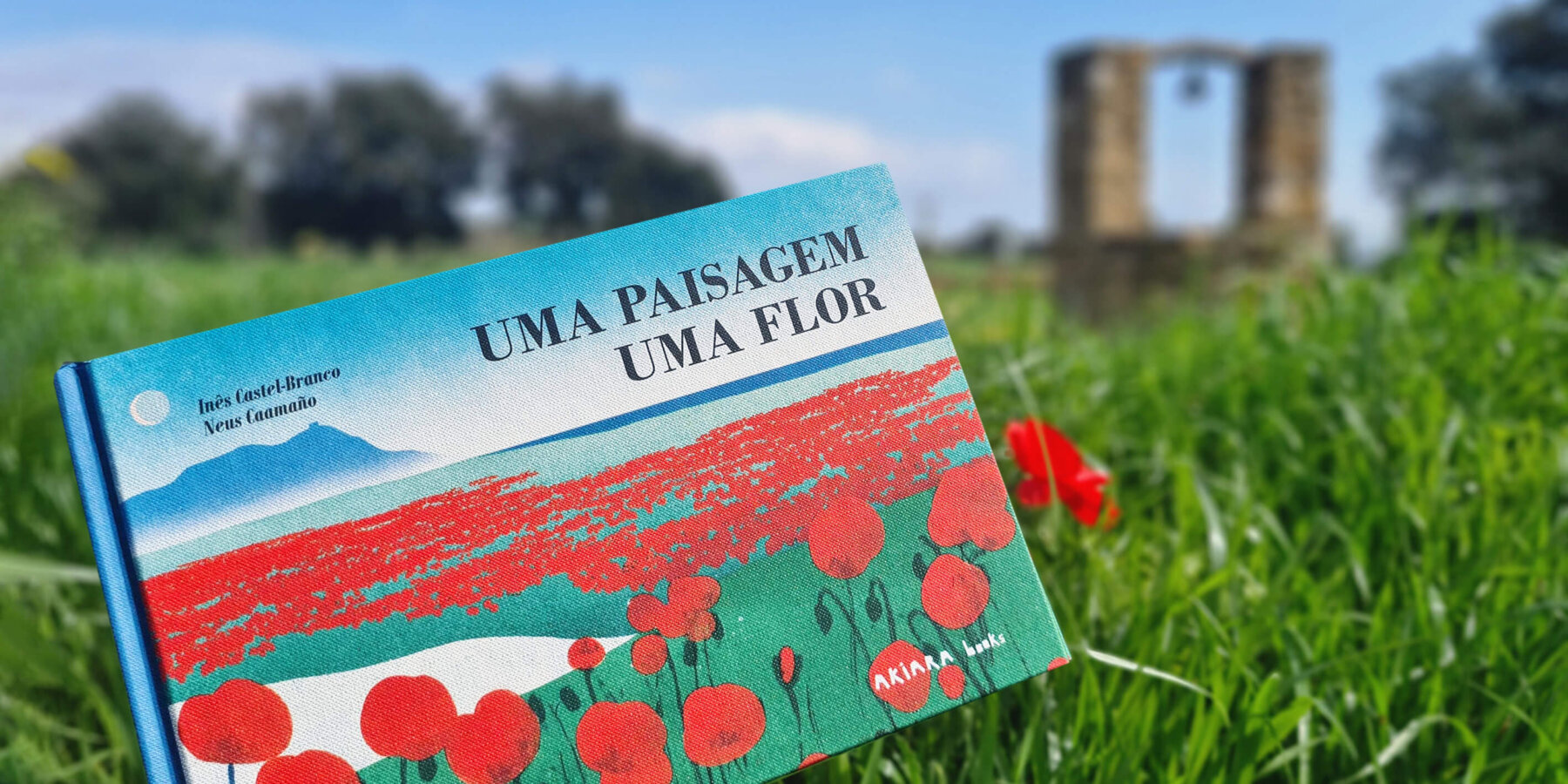 Uma paisagem, uma flor Uma paisagem, uma flor