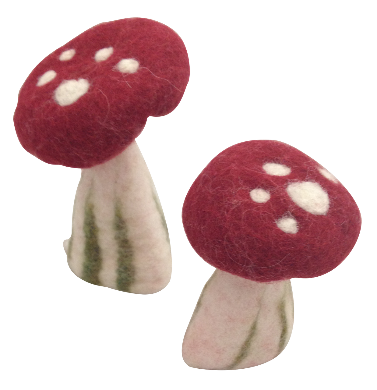 3 Cogumelos Amanita Muscaria | Papoose