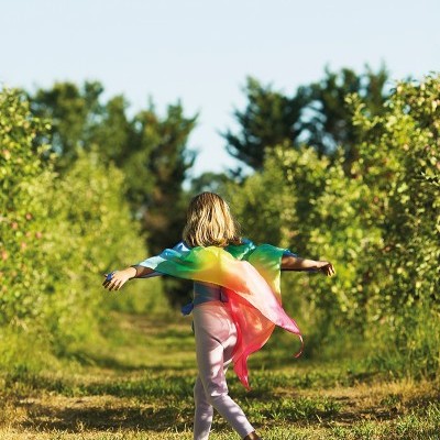 Asas Arco-Íris | Sarah's Silks