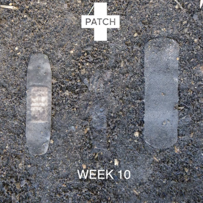 Carvão Ativado Penso Rápido Biodegradável | Patch