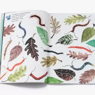 The Big Sticker Book of Bugs | Caderno de Atividade & Autocolantes