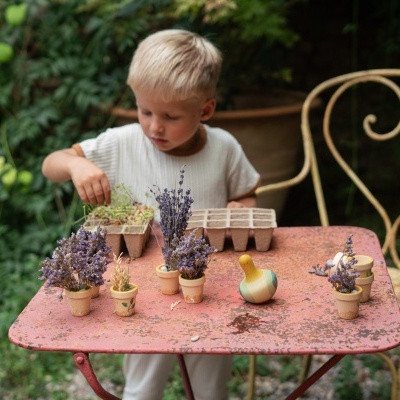 Pássaro Amarelo | Grapat Pássaro Amarelo | Grapat