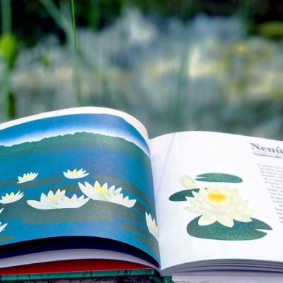 Uma paisagem, uma flor