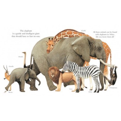 Elefantes - My First Discoveries