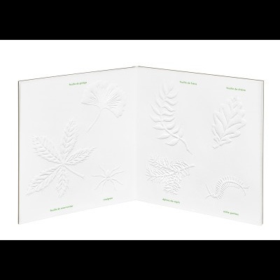 La Nature Au Bout des Doigts