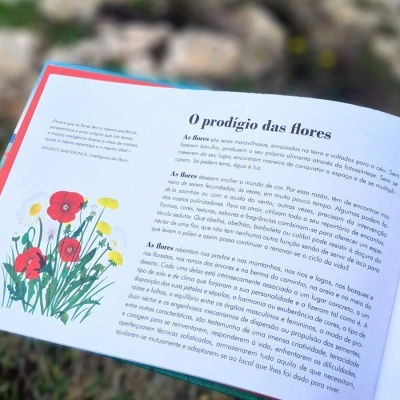 Uma paisagem, uma flor