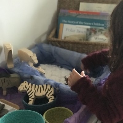 Neve Caseira Ecológica