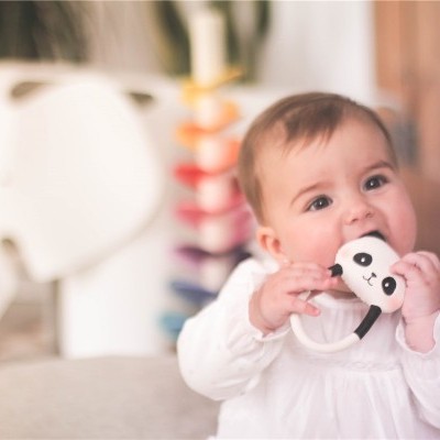 Kori, O Panda | Lanco Kori, O Panda | Lanco