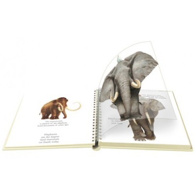 Elefantes - My First Discoveries