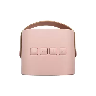 Microfone e Coluna Rosa | Lalarma