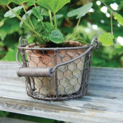 Vaso Terracota com Cesto e Pega | Jardinagem Vaso Terracota com Cesto e Pega | Jardinagem