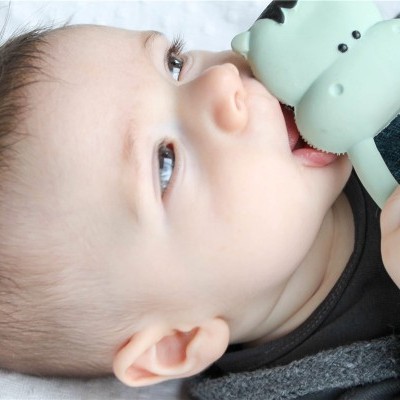 Kimo, O Hipopótamo | Lanco