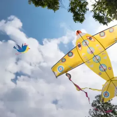 Avião Papagaio | Papagaio Gigante Avião Papagaio | Papagaio Gigante