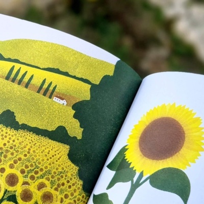 Uma paisagem, uma flor