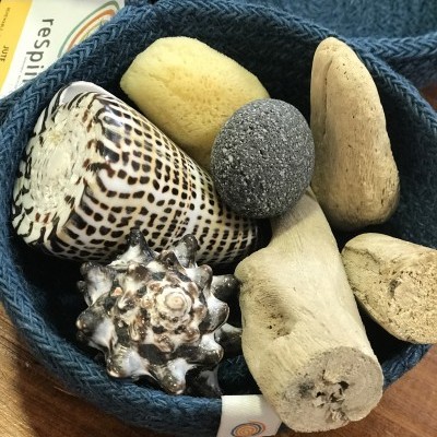 Conjunto Sensorial da Natureza | Bosque Feliz