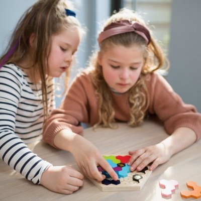 Jogo O Puzzle da Colmeia | BSToys