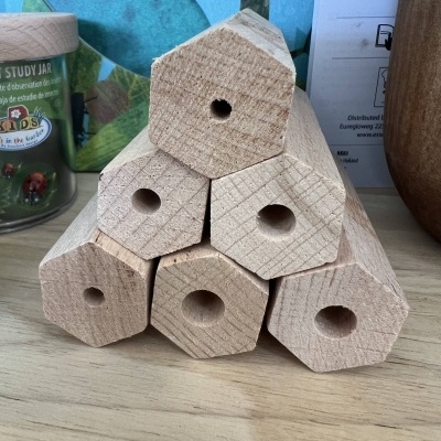 Casa de Abelha | Conjunto Ou Individual