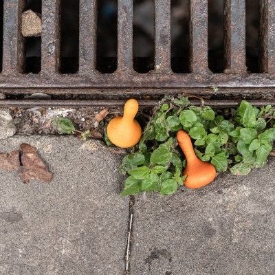 Abóboras | Peças Soltas