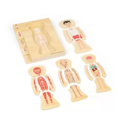 Corpo Humano Masculino Puzzle de Camadas | BigJigs