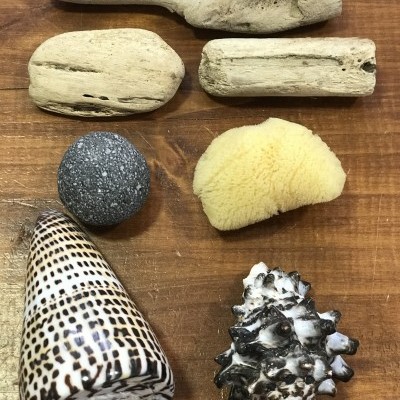 Conjunto Sensorial da Natureza | Bosque Feliz