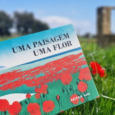 Uma paisagem, uma flor