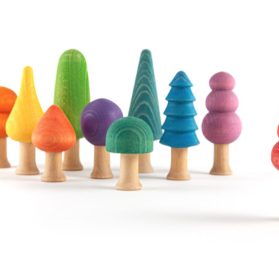 Bosque Arco-íris | Ocamora