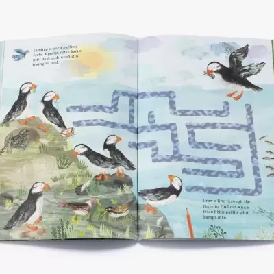 The Big Sticker Book of Birds | Caderno de Atividade & Autocolantes